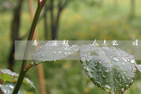 房貸逾期債務人怎么處理(個人房貸逾期怎么辦)