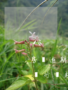 房貸逾期先起訴還是先查封-房貸逾期多久銀行會起訴