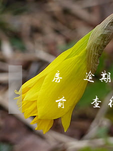 房貸逾期光大銀行怎么查(光大銀行房貸放款前還查征信嗎)
