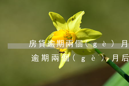 房貸逾期兩個(gè)月可以賣嗎(銀行房貸逾期兩個(gè)月后果是什么)