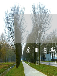 房貸逾期兩天上不上征信(房貸逾期2天會(huì)上征信嗎)