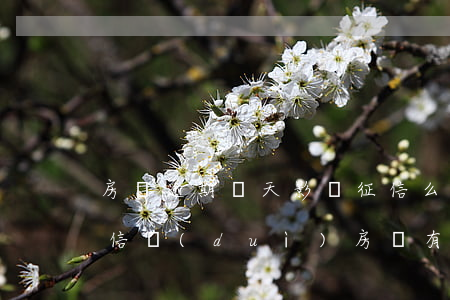 房貸逾期兩天影響征信么(借貸逾期一天上征信對(duì)房貸有影響嗎)