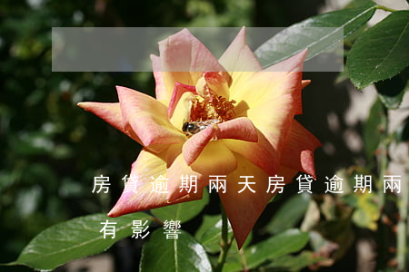 房貸逾期兩天 房貸逾期兩天有沒(méi)有影響