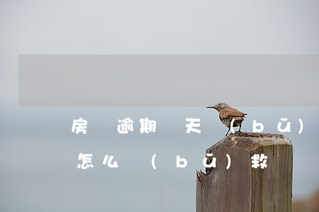 房貸逾期兩天補(bǔ)上可以嗎(房貸逾期怎么補(bǔ)救)