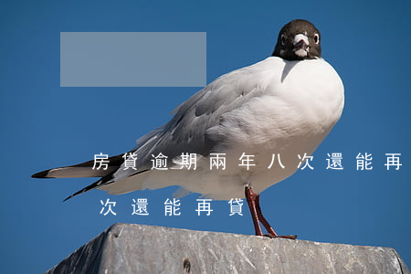 房貸逾期兩年八次還能再貸(房貸逾期兩年八次還能再貸)