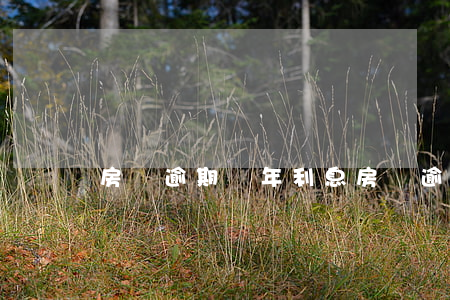 房貸逾期兩年利息(房貸逾期兩年了怎么辦)