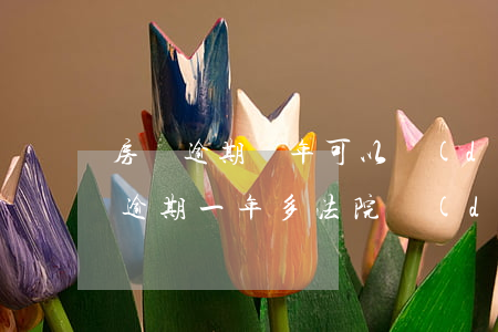 房貸逾期兩年可以調(diào)解嗎(房貸逾期一年多法院調(diào)解)
