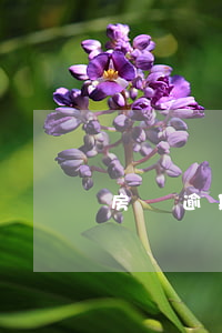 房貸逾期兩年銀行未被起訴