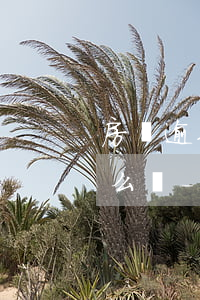 房貸逾期兩期起訴賤賣房產(chǎn)怎么辦-房貸逾期被起訴該怎么辦