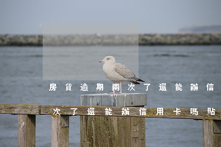 房貸逾期兩次了還能辦信用卡嗎(房貸逾期兩次了還能辦信用卡嗎貼吧)