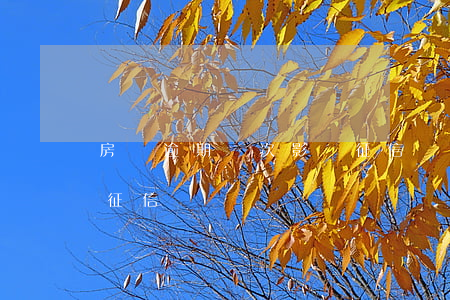 房貸逾期兩次影響征信嗎(房貸逾期兩次影響征信嗎)