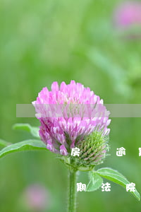 房貸逾期兩萬會(huì)被拍賣嗎(房貸逾期法院拍賣有剩余款嗎)