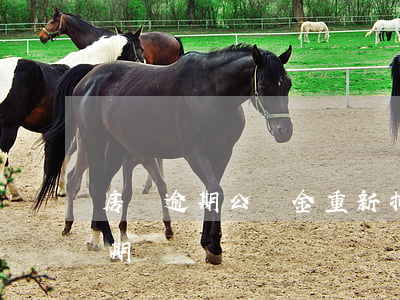 房貸逾期公積金重新扣款(房貸扣款失敗算逾期嗎)