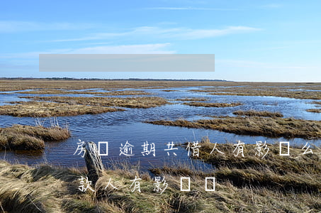 房貸逾期共借人有影響么(房貸逾期對共同還款人有影響嗎)