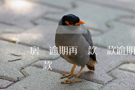 房貸逾期再貸款(貸款逾期還能繼續(xù)貸款嗎)