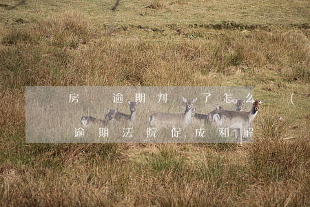房貸逾期判決了怎么調(diào)解(房貸逾期法院促成和解)