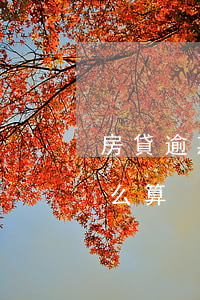 房貸逾期利息計算公式（逾期交付房款利息怎么算）