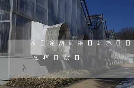 房貸逾期到柜臺上能辦嗎(有逾期還能拿房子抵押貸款嗎)