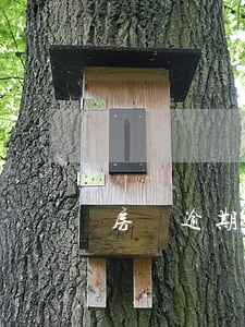 房貸逾期十三天什么后果(逾期13天怎么辦)