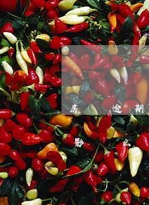 房貸逾期十分鐘算逾期嗎(房貸逾期10天有影響么)