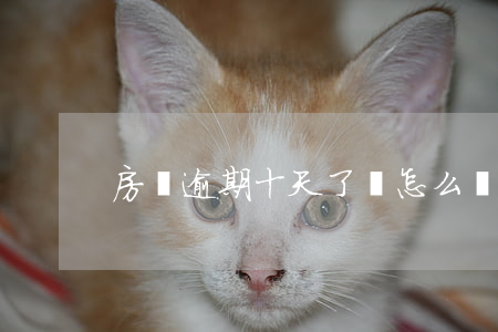 房貸逾期十天了會怎么樣