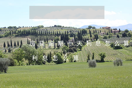 房貸逾期十天利息怎么算(信用卡逾期10天利息怎么算)