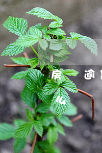 房貸逾期十天會上征信嗎(房貸逾期十天會怎么樣)