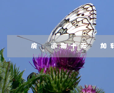 房貸逾期十天會加利息么
