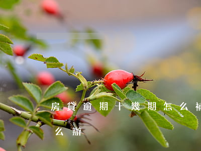 房貸逾期十幾期怎么補交(逾期交房半年了怎么辦)
