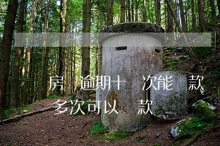 房貸逾期十幾次能貸款買房(買房征信逾期十多次可以貸款嗎)