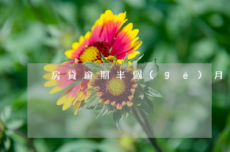 房貸逾期半個(gè)月怎么扣款