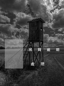房貸逾期半個月怎么解決(房貸逾期半月怎么處理)