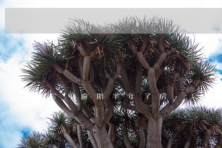 房貸逾期半年了（房貸忘記了逾期半個月）
