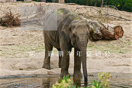 房貸逾期半年交到公證處