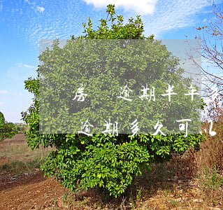 房貸逾期半年多久會(huì)起訴-房貸逾期多久可以起訴