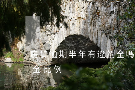 房貸逾期半年有違約金嗎(期房逾期交房違約金比例)