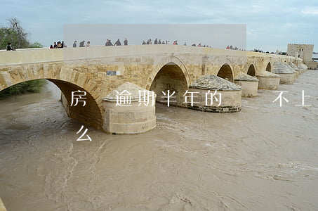 房貸逾期半年的錢還不上(房貸逾期半年了怎么辦)