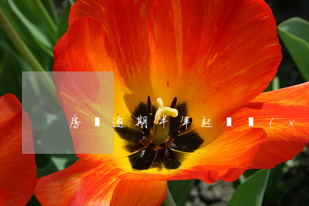 房貸逾期半年起訴協(xié)商