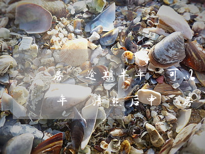 房貸逾期半年還可以協(xié)商(逾期半年還清 然后申請房貸可以嗎)