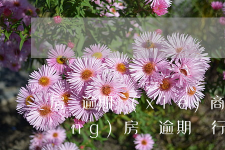 房貸逾期協(xié)商不成找行長(zhǎng)(房貸逾期銀行拒絕協(xié)商)