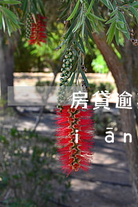 房貸逾期協(xié)商還款投訴銀監(jiān)局 房貸逾期協(xié)商問題
