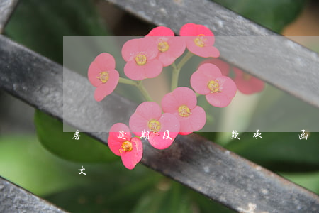 房貸逾期及時還款承諾函(房貸逾期保證書范文)