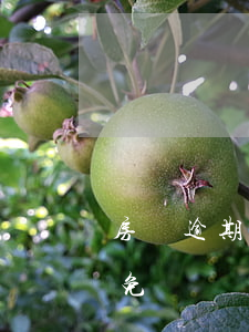 房貸逾期可以申請減免嗎(逾期利息能不能減免)
