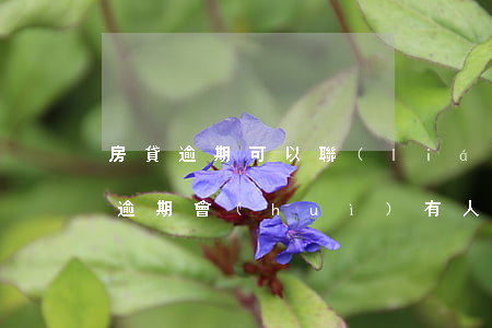 房貸逾期可以聯(lián)系客服嗎(房貸逾期會(huì)有人打電話通知嗎)