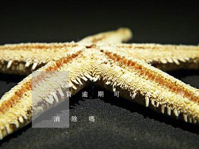 房貸逾期可以花錢消除嗎(房貸逾期可以花錢消除嗎)