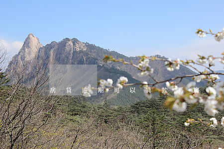 房貸逾期可以貸款嗎(房貸能逾期么)