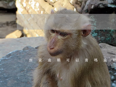 房貸逾期可以賣嗎(逾期可以買房子貸款嗎)