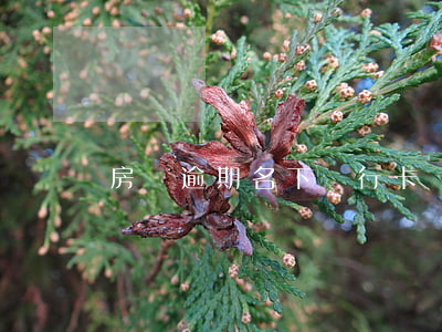 房貸逾期名下銀行卡凍結(房貸逾期銀行卡被凍結)