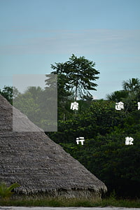 房貸逾期后多久可以協(xié)商還款(銀行貸款逾期了,可以和銀行協(xié)商還款嗎)