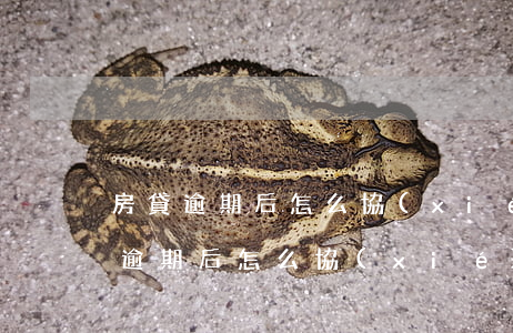 房貸逾期后怎么協(xié)商還款-房貸逾期后怎么協(xié)商還款
